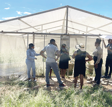 garden project Tukwatha, NYS cultivating hope in communities