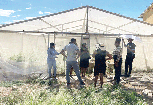 garden project Tukwatha, NYS cultivating hope in communities