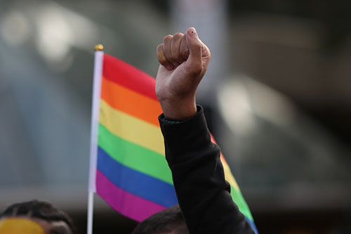 gay Same-sex ruling ruffles feathers