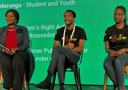 gbv 1 GBV in intimate relationships normalised