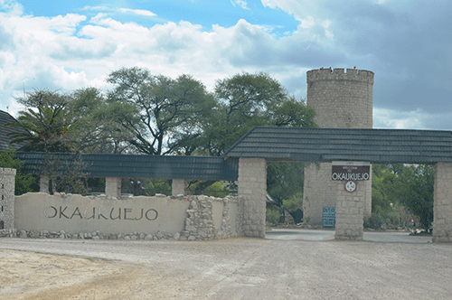 german 1 German apprentices assist NWR with maintenance