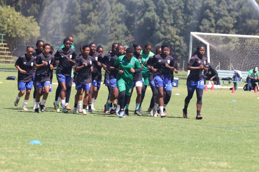 gladiators jpg We are getting there – Jacobs