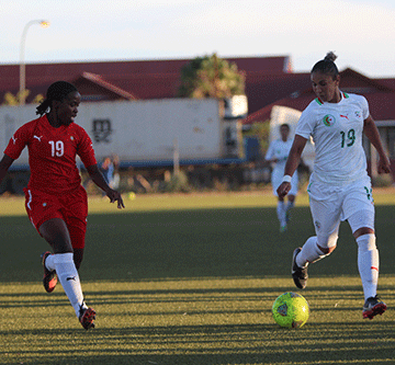 gladiators jpg 2 Gladiators aim for a good start