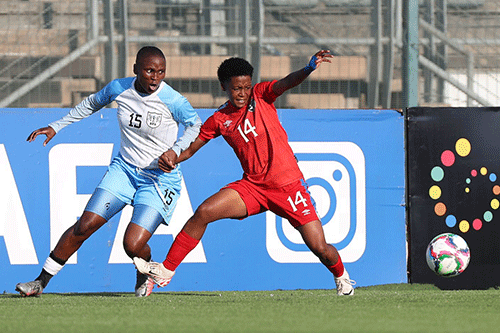 gladiators jpg 3 History beckons for Brave Gladiators…as Zambia awaits in do-or-die clash