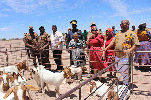goat expo Berseba goat expo vital for southern farmers