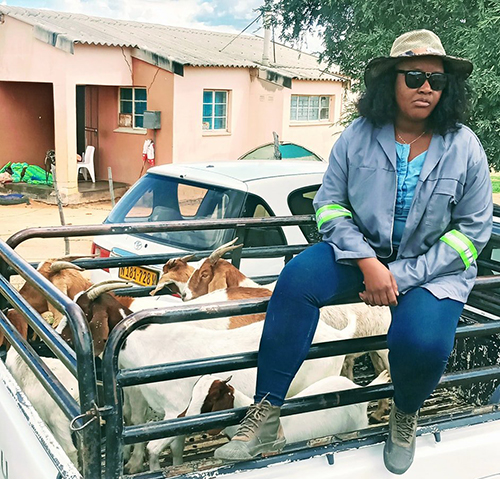 goats errand lady ‘The Errand Lady’ breathes life into farming