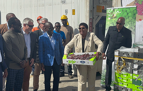 grapes First grapes consignment exported to Europe