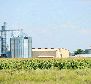 green 2 Namibia’s struggling green schemes can learn from Zambia