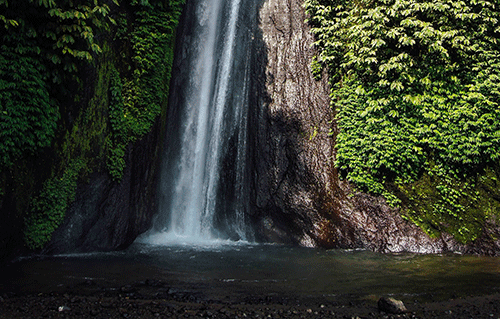 green Green growth in Amazon would bring Brazil billions
