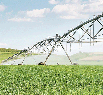 greenschemes Green schemes’ time to shine