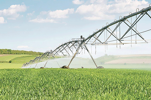 greenschemes Green schemes’ time to shine