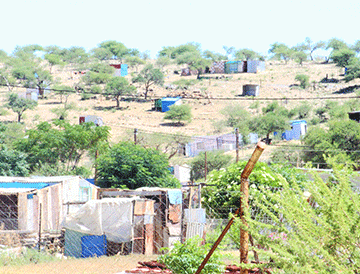 groot aub Adams: Address plight of generational farmworkers