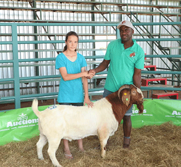 gurirab 1 Communal farmer shatters stud auction records