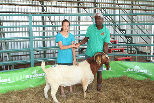 gurirab 1 Communal farmer shatters stud auction records