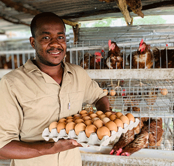haitula 2 Haitula: Kavango West poultry king