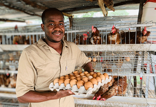 haitula 2 Haitula: Kavango West poultry king