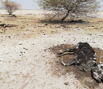 hard times Planning for hard times: How to go about it