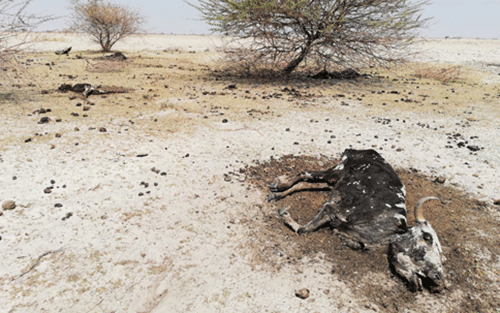 hard times Planning for hard times: How to go about it