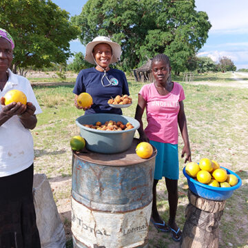 harvesting Sustainable harvesting kits for conservancies