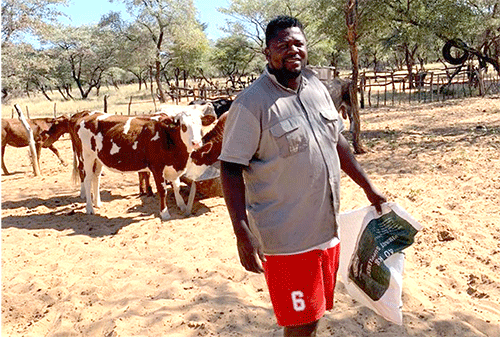 hikuama Simmentaler inspires farmer to break new ground
