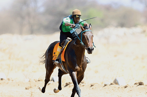 horse NHRA awards prize money to three horses in close-finish controversy