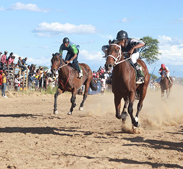 horse 2 jpg Thrills and spills at Independence Cup… as SSC empowers jockeys