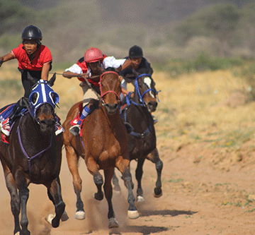 horse Top horses to battle it out Saturday…as Debmarine comes on board as sponsor