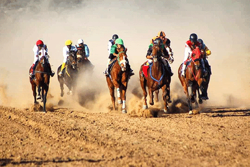 horse racing 2 Thoroughbreds set to dazzle Gobabis