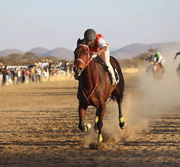 Legendary horses scoop top honours at July Winter Cup