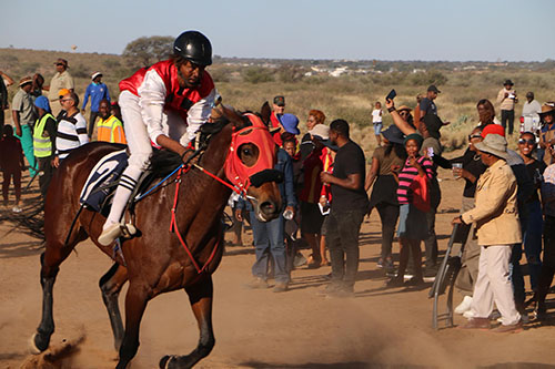 horse racing 3 Able Surprise wins MTC Winter Cup