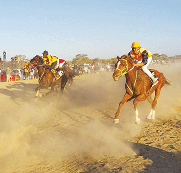 horse racing Starlile, Freedom Fighter dominance continues