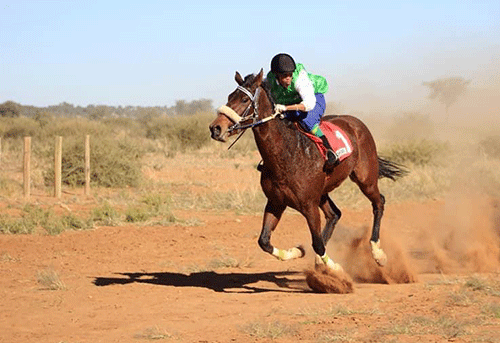 horse racing Imperial Ruby, Lady Diamond triumph at July handicap