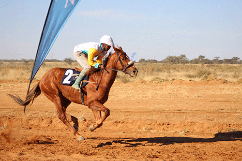 horse running jpg MTC Winter Cup this weekend