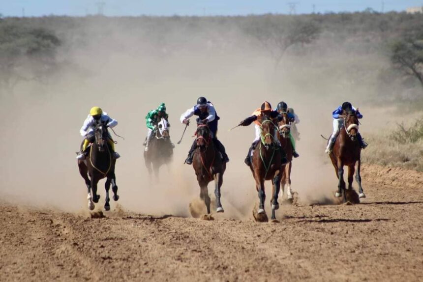 horses 1 Africa Day Cup horse racing set for Rehoboth