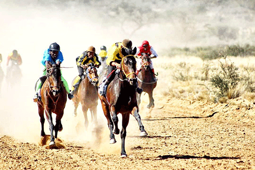 horses Horse Racing Fun Day set for Rehoboth