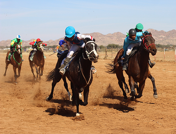 horses jpg Top racehorses to meet in Otjinene this weekend