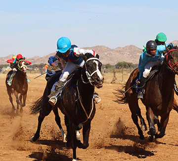 horses jpg Top racehorses to gallop in Gobabis …ready to open year in style