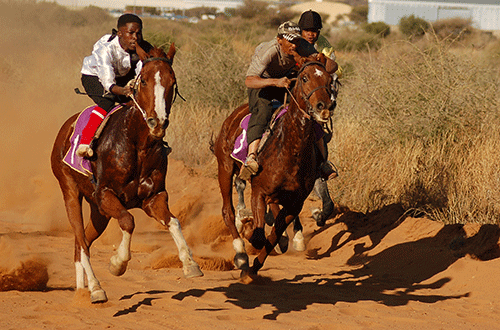 horses jpg Top racehorses to grace Okahandja this weekend