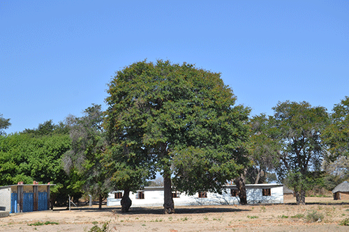 hostel Sachinga gets community hostel to accommodate needy learners
