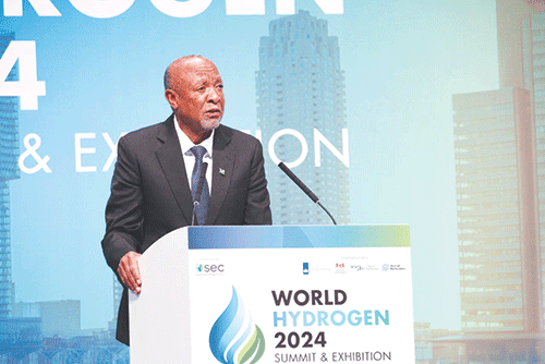 hub 1 Mbumba: Green hydrogen fuels logistics dream