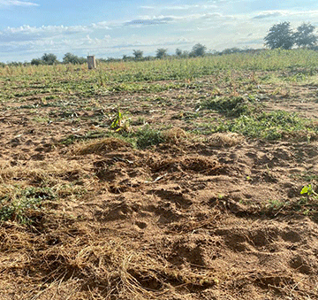 human conflict Iita pokati kaantu niiyamakuti …ya faalele oomwenyo dhaantu, omapya oga yonagulwa