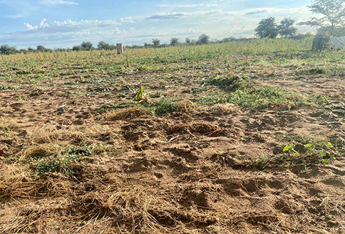 human conflict Iita pokati kaantu niiyamakuti …ya faalele oomwenyo dhaantu, omapya oga yonagulwa