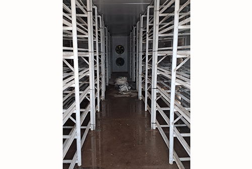 hydropinic Hydroponic fodder project at a standstill