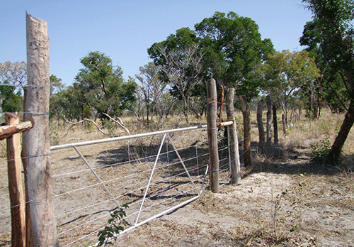 illegal fencing 1 Govt removes over 70km of illegal fencing