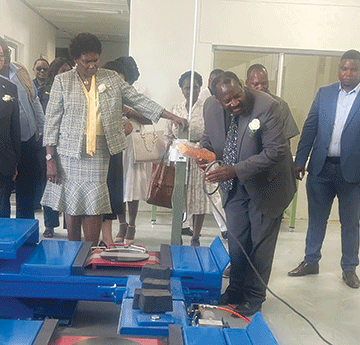 japan 1 Artisans needed in the field of green energy