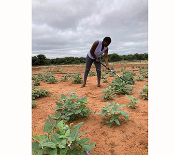 joyce in field Planting the seeds of success…Muzengua’s crop farming dream sprouts