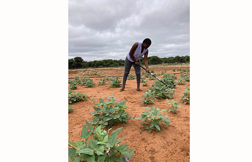 joyce in field Planting the seeds of success…Muzengua’s crop farming dream sprouts