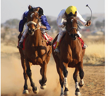 July handicap slated for Saturday