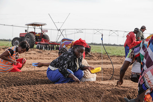 k2g Small businesses can be the foundation of the economy…as trade ministry launches Know2Grow initiative