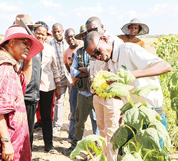 kalimbeza 1 Kalimbeza Rice project gets N$8m injection